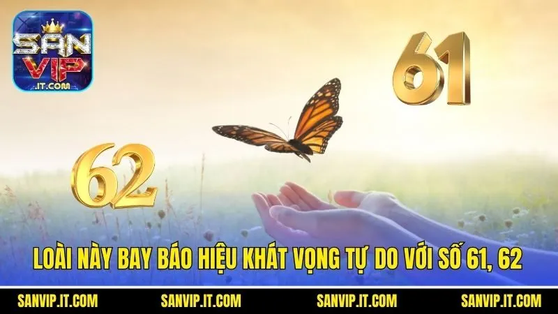 Loài này bay báo hiệu khát vọng tự do với số 61, 62